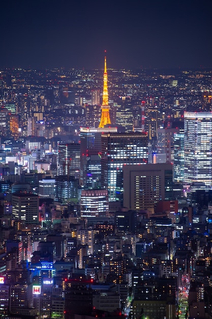 Horizonte de la ciudad de Tokio por la noche