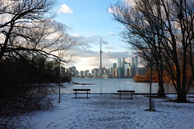 Foto el horizonte de la ciudad de toronto en las islas de toronto con una silla vacía