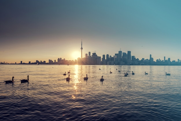 Horizonte de la ciudad de Toronto en la noche, Ontario, Canadá