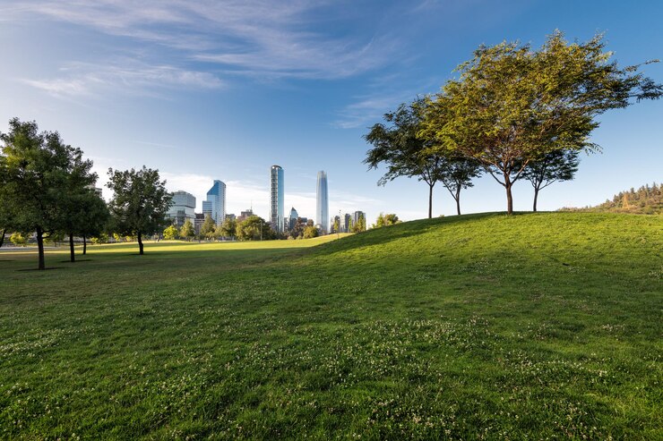 Foto horizonte de los edificios en los distritos de vitacura y providencia desde el parque bicentenario santiago chile