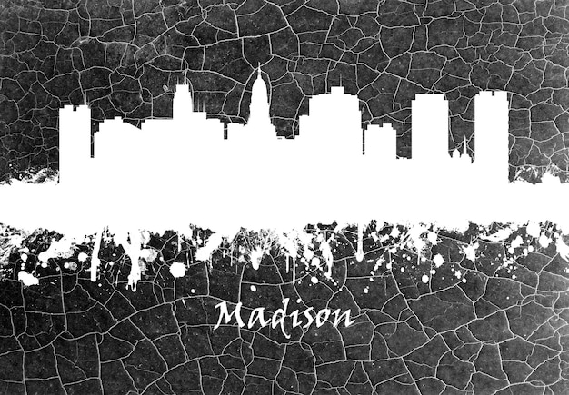 Foto horizonte de madison en blanco y negro