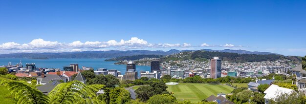 Horizonte panorámico escénico del puerto del centro de Wellington y el centro financiero de Nueva Zelanda