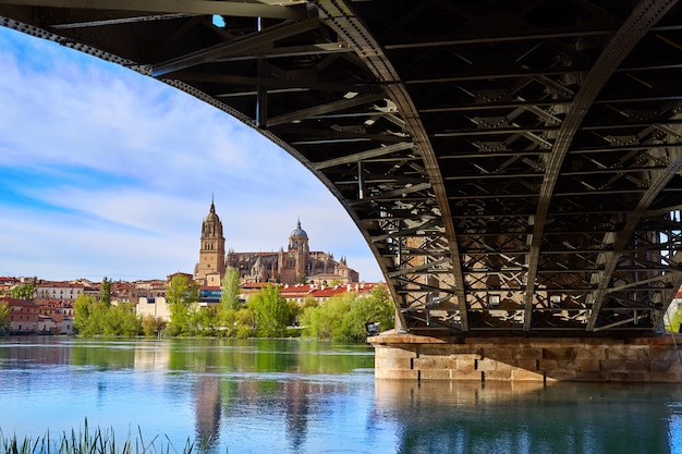 Horizonte de Salamanca en el puente Enrique Estevan