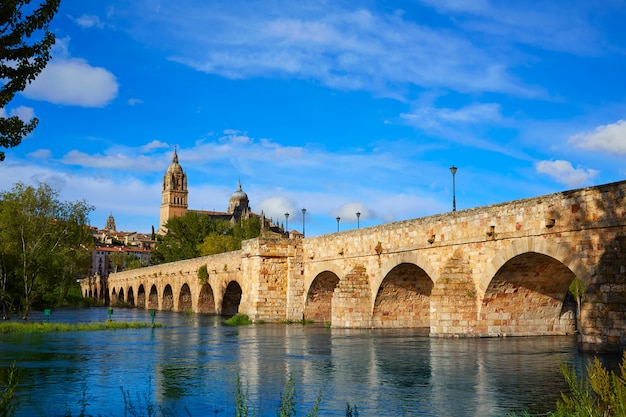 Horizonte de Salamanca y puente romano sobre Tormes