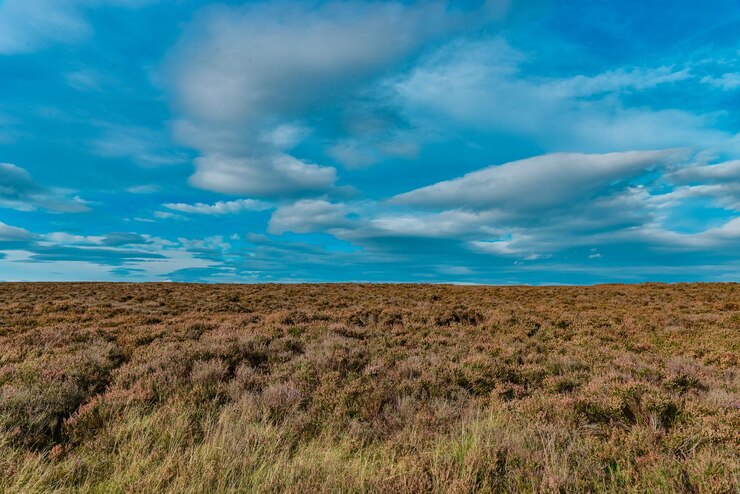 Foto el horizonte sobre los páramos