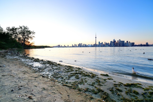 Horizonte de toronto en el día