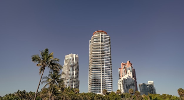 Horizonte urbano com vista inferior de arranha-céus e palmeiras no céu azul em South Beach EUA