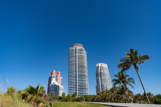 Horizonte urbano con rascacielos y palmeras en un parque tropical en el cielo azul en South Beach USA