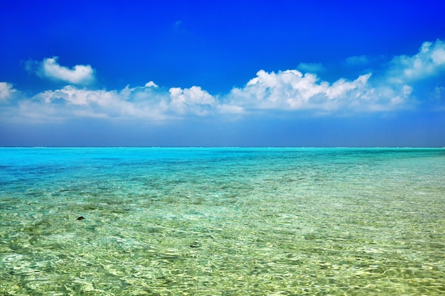 Foto horizonte de la vista del océano índico desde la isla tropical de las maldivas.