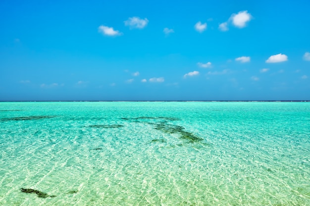 Horizonte de la vista del Océano Índico desde la isla tropical de las Maldivas.