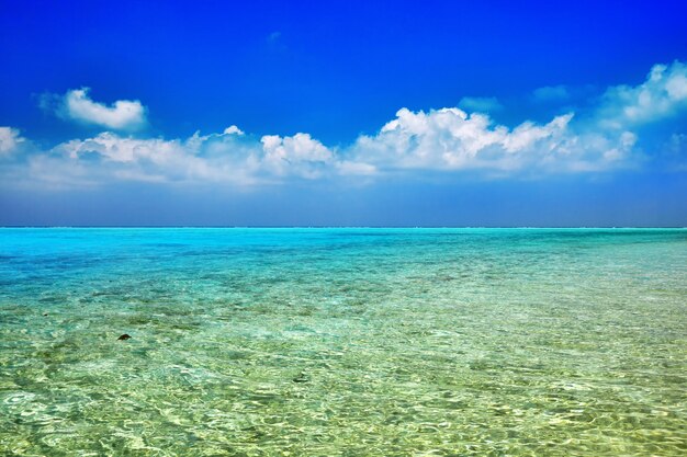 Horizonte de la vista del Océano Índico desde la isla tropical de las Maldivas.