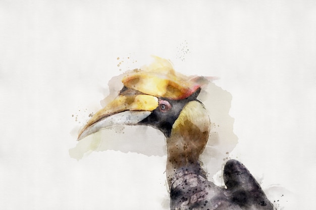 Hornbill auf weißem Hintergrund. Aquarell-Stil.