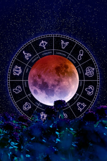 Foto horóscopo e colagem de astrologia