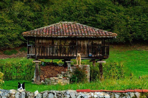 El horreo tiene un valor folclórico innegable y es un hito de la identidad asturiana