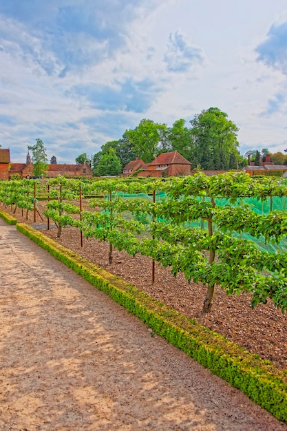 Horta em Audley End House em Essex, no Reino Unido. É uma casa de condado medieval. Agora está sob a proteção do Patrimônio Inglês.