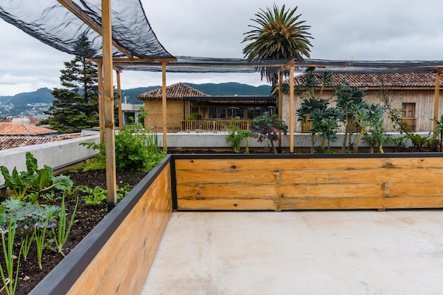 Horta urbana com plantas e flores em um telhado sem pessoas.