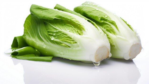 hortalizas bok choy sobre un fondo blanco