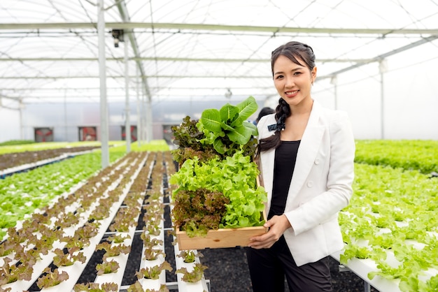 Las hortalizas frescas para ensalada son cosechadas por mujeres agricultoras asiáticas en granjas de sistema de plantas hidropónicas en el invernadero y vendidas. Concepto de comida sana y vegetales frescos.