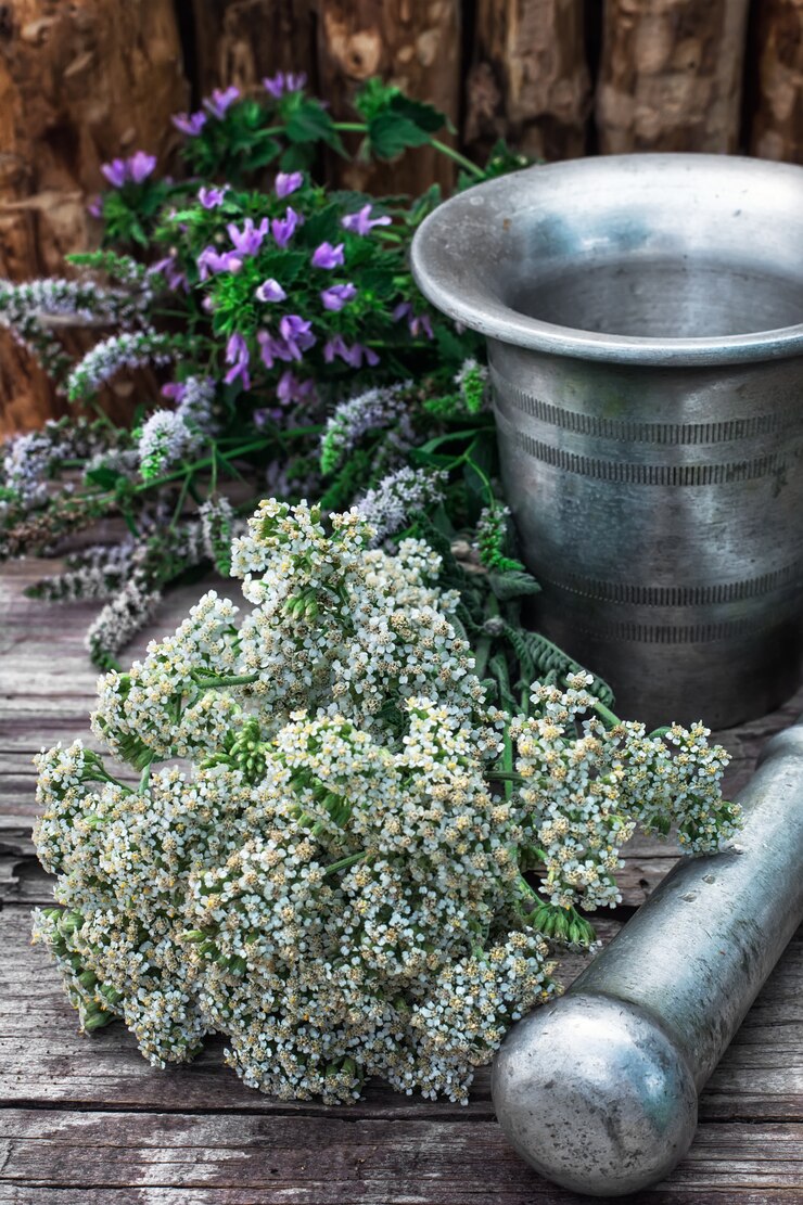 Foto hortelã-pimenta é uma planta herbácea perene