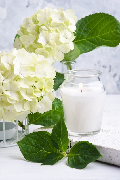 hortensia flores en maceta y velas encendidas