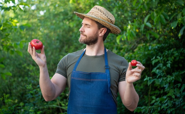 Horticultor de homem com chapéu de palha com tomate vegetal