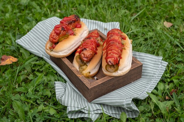 Hot Dogs mit Senf, Ketchup auf einem Picknicktisch