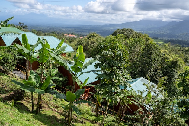 Hotel con un conjunto de bungalows en medio de la selva. Costa Rica