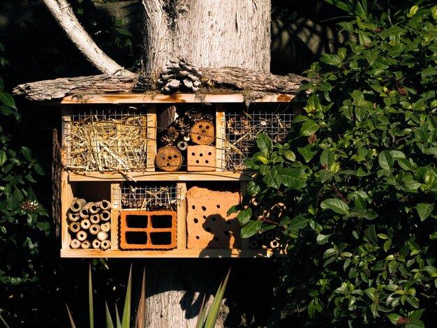 Foto hotel für insekten