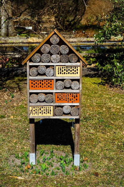 Foto hotel para insectos en el parque casa de insectos