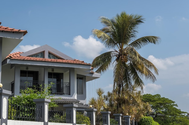 hotel o casa de vacaciones en la jungla entre palmeras en el océano