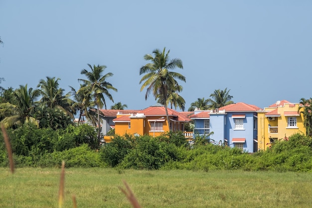 hotel ou casa de férias na selva entre palmeiras no oceano