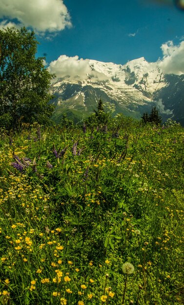 Les Houches en la Alta Saboya en Francia