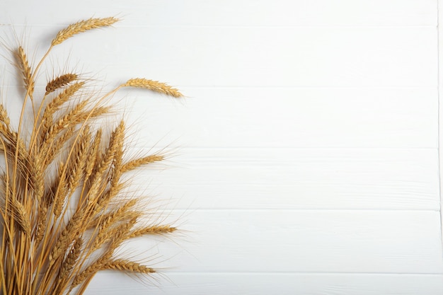 Ährchen aus Weizen und Körnern auf hellem Hintergrund