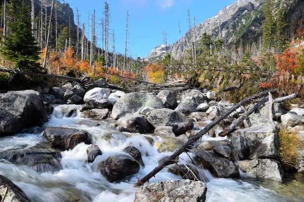 Hrebienok y cascadas de agua fría en los Tatras