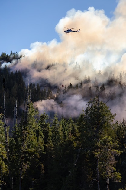 Hubschrauber bekämpfen BC Waldbrände an einem heißen sonnigen Sommertag