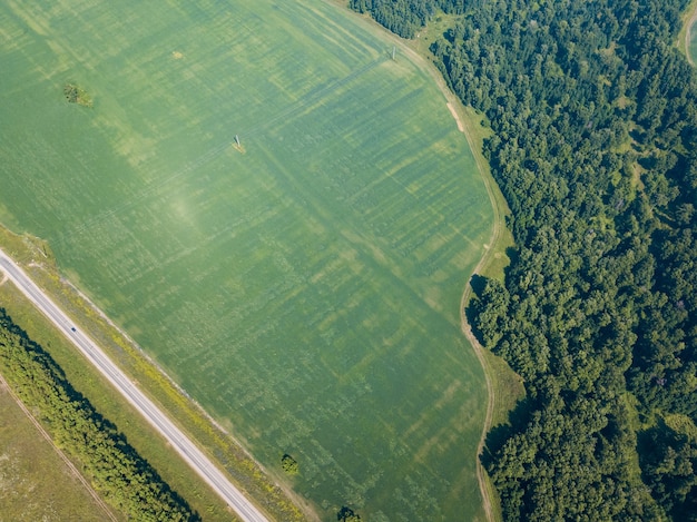 Hubschrauber-Drohne erschossen. Luftaufnahmen von grünem Wald mit Straße, grünem Gras