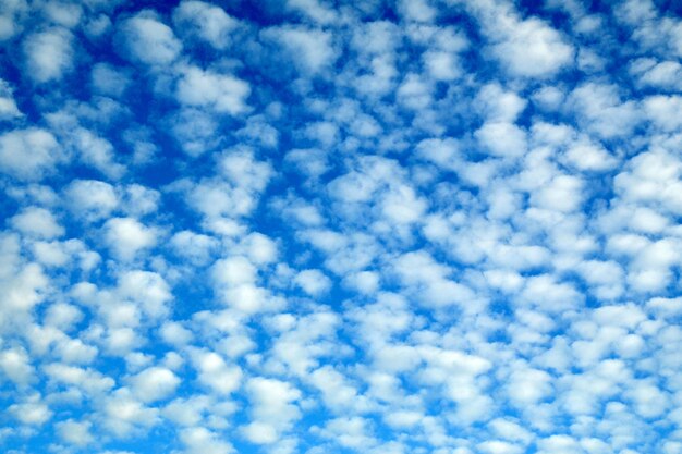 Hübsche blaue Wolkenlandschaft mit flauschigen Wolken