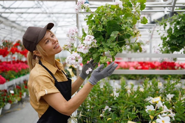 Hübsche Floristin mittleren Alters untersucht sorgfältig Blumen in einem Gewächshaus