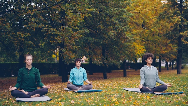 Foto hübsche frauen entspannen sich, sitzen im lotussitz auf yogamatten im park und atmen frische luft, während sie sich nach einer gruppenübung im freien, meditation und naturkonzept ausruhen