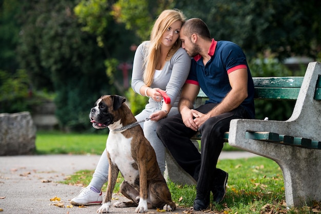 Hübsche junge Familie mit Hunden