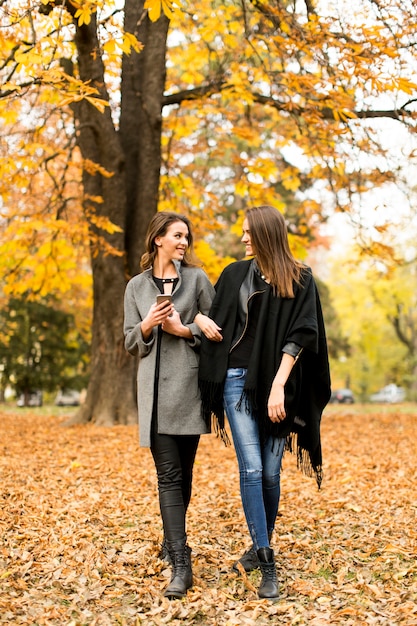 Hübsche junge Frauen im Herbst Park