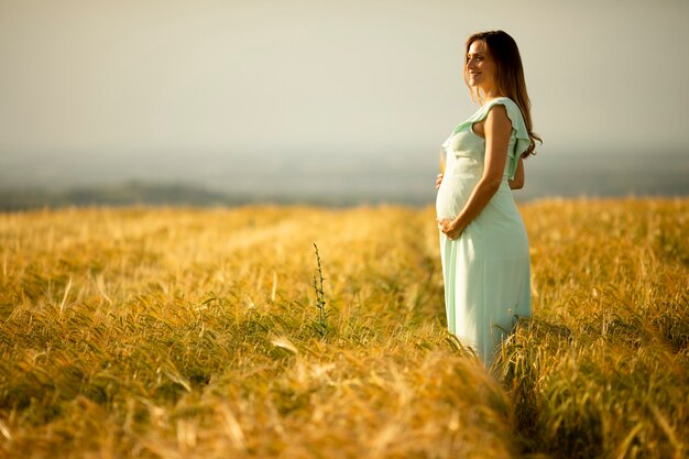 Hübsche junge schwangere Frau im weißen Kleid, das draußen in der Natur am Sommertag entspannt