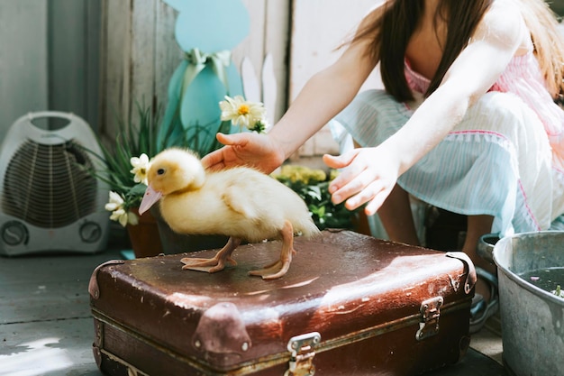 Hübsche kleine armenische Mädchen sitzen an sonnigen Frühlingstagen auf der Veranda, die mit Blumen und Osterdekor geschmückt ist, und spielen mit Baby-Entenküken in Korb und Becken Osterfamilienfeier