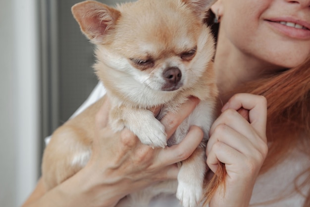 Hübsche reife Frau mit Chihuahua-Hund in den Händen auf dem heimischen Balkon. Frau mittleren Alters und ihr Hündchen Chihuahua. Konzept Haustierliebe und Freund der Familie