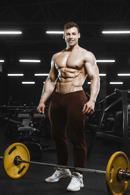 Hübsche starke athletische Männer, die Muskeln trainieren, trainieren Langhantel-Squat-Bodybuilding-Konzept