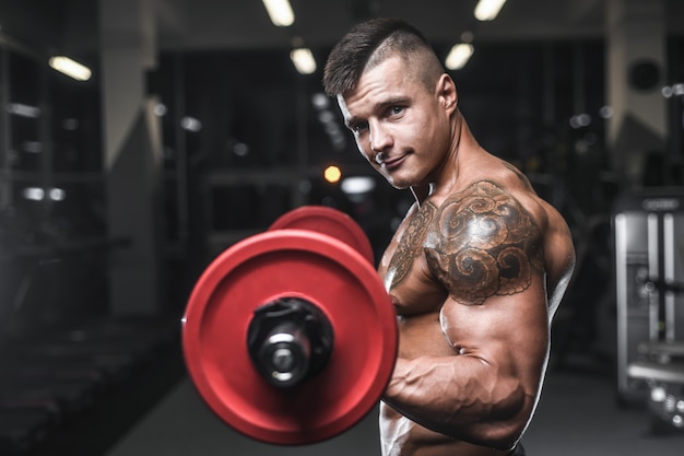 Hübsche, starke Bodybuilder-Sportler, die Muskeln mit Hanteln aufpumpen