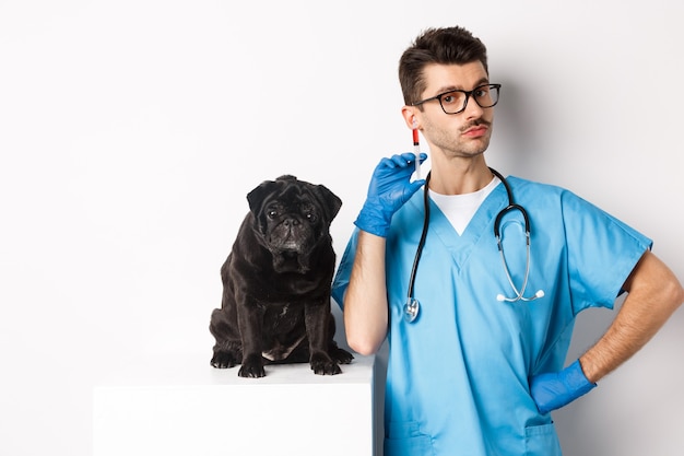 Hübscher Arzttierarzt, der Spritze hält und nahe niedlichem schwarzen Mops, Impfhund, weiß steht.