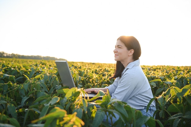 Foto hübscher junger agronom hält während der erntezeit tabletten und sojabohnensamen auf dem feld in der hand