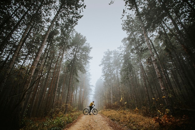 Hübscher junger Mann, der eine Bremse beim Radfahren durch Herbstwald nimmt