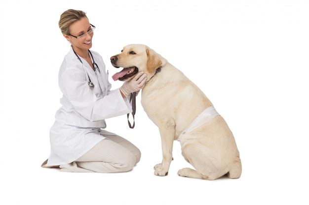 Hübscher Tierarzt, der gelben Labrador-Hund auf weißem Hintergrund streichelt